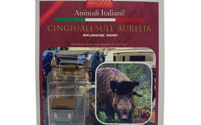 No Action Figure Cinghiali sull’Aurelia